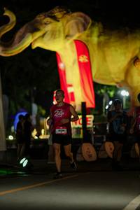 BIB: 
                            <button type="button" onclick="openModal(26533339)" class="btn btn-primary btn-sm float-right btn-popup" data-toggle="modal" data-target=".modal-high-quality">
                        <i class="fas fa-shopping-cart"></i> Add to Cart
                    </button>
                                            <button type="button" onclick="isThisMe(26533339, true)" class="btn btn-success btn-sm float-right btn-popup btn-isme hidden" data-toggle="tooltip" data-placement="bottom" title="นี่คือรูปของคุณใช่ไหม คลิกที่นี่เพื่อเอาเข้าอัลบั้ม">
                        <i class="fas fa-plus"></i> Add to album
                    </button>
                    <button type="button" onclick="isThisMe(26533339, false)" class="btn btn-warning btn-sm float-right btn-popup btn-isnotme hidden">
                        <i class="fas fa-ban"></i> Remove from album
                    </button>